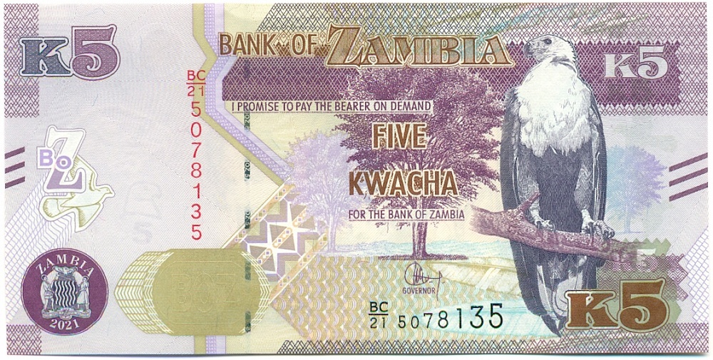 5 квача 2021 года Замбия — Фото №1