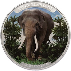 3000 риелей 2023 года Камбоджа «Азиатский слон» (Цветное покрытие) — Фото №1