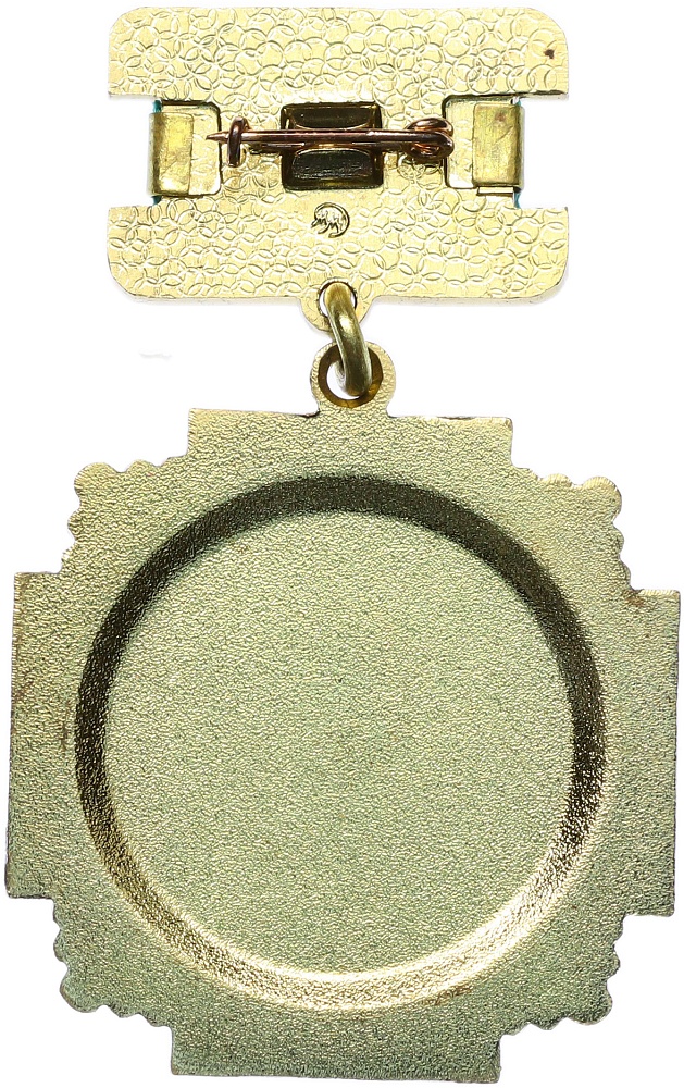 Знак «Участник Ликвидации последствий аварии ЧАЭС» — Фото №2