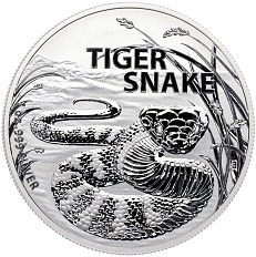 1 доллар 2024 года Австралия «Самые опасные в Австралии — Тигровая змея» — Фото №1