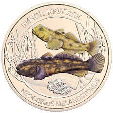 5 гривен 2025 года Украина «Глубоководные обитатели — Круглый бычок (Азовское море)» — Фото №1