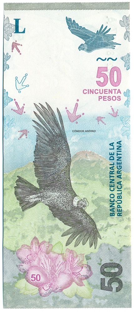 50 песо 2018 года Аргентина — Фото №1