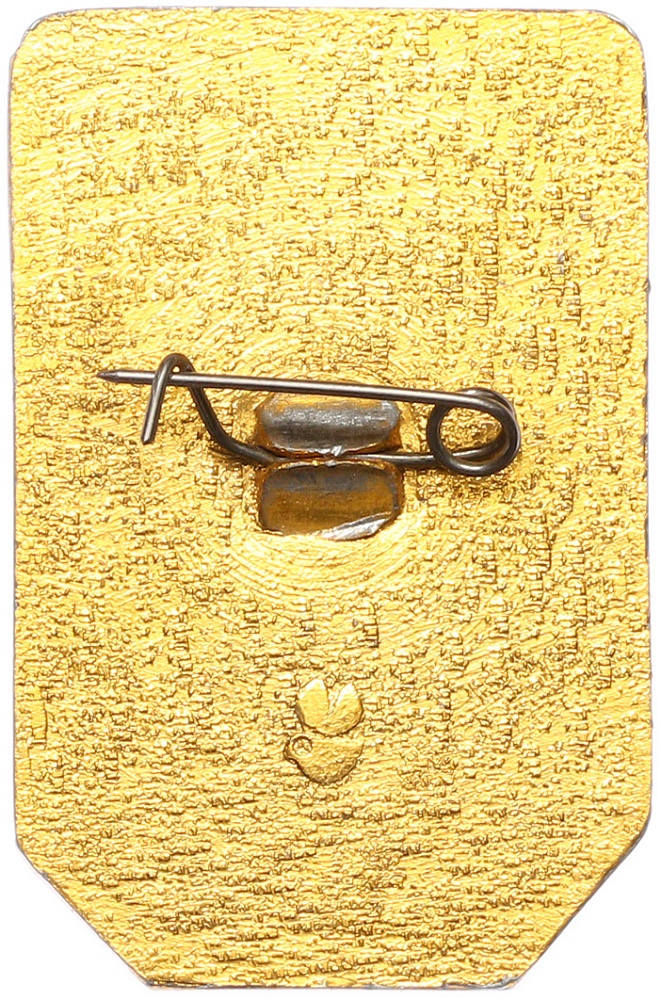 Значок «100 лет ГКБ №33 имени Остроумова» — Фото №2