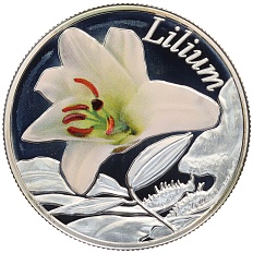 10 рублей 2013 года Белоруссия «Красота цветов — Лилия» — Фото №1