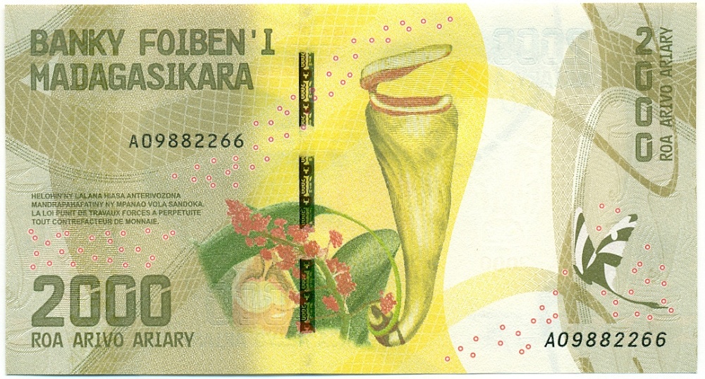 2000 ариари 2017 года Мадагаскар — Фото №2