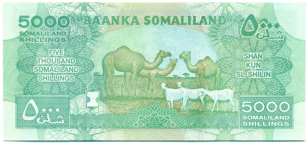 5000 шиллингов 2011 года Сомалиленд — Фото №2