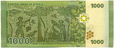 1000 фунтов 2013 года Сирия — Фото №2