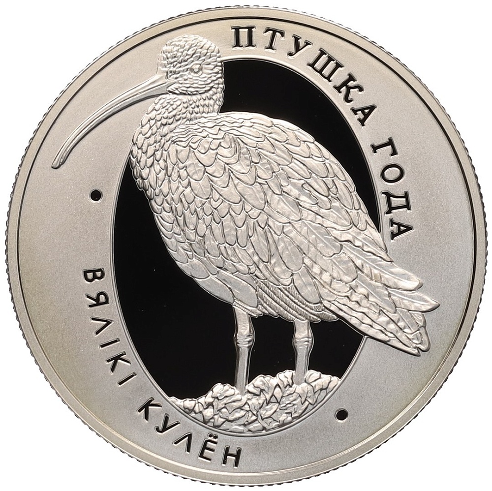 1 рубль 2011 года Белоруссия «Птица года — Большой кроншнеп» — Фото №1