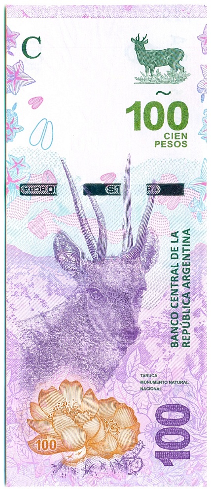 100 песо 2018 года Аргентина — Фото №1