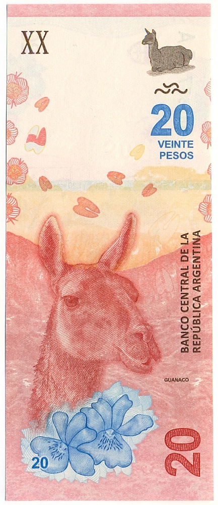 20 песо 2017 года Аргентина — Фото №1