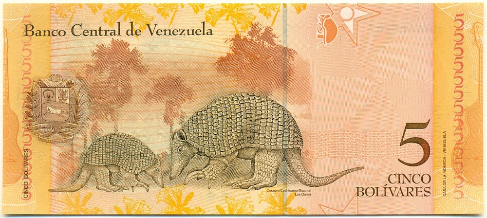 5 боливаров 2008 года Венесуэла — Фото №2
