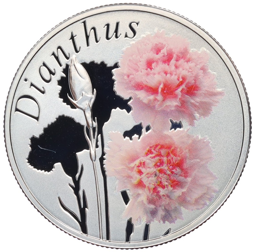 10 рублей 2013 года Белоруссия «Красота цветов — Гвоздика» — Фото №1