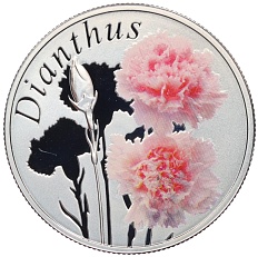 10 рублей 2013 года Белоруссия «Красота цветов — Гвоздика» — Фото №1